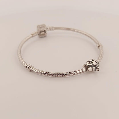 Greek Turtle, Silver Charm for Bracelet, Fits Pandora Bracelets